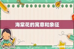海棠花的寓意和象征