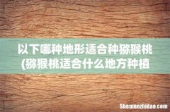 猕猴桃适合什么地方种植 以下哪种地形适合种猕猴桃