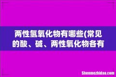 常见的酸、碱、两性氧化物各有哪些- 两性氢氧化物有哪些