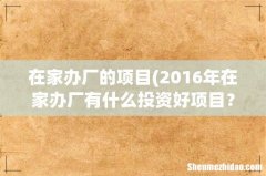 2016年在家办厂有什么投资好项目？？ 在家办厂的项目