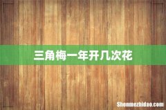 三角梅一年开几次花