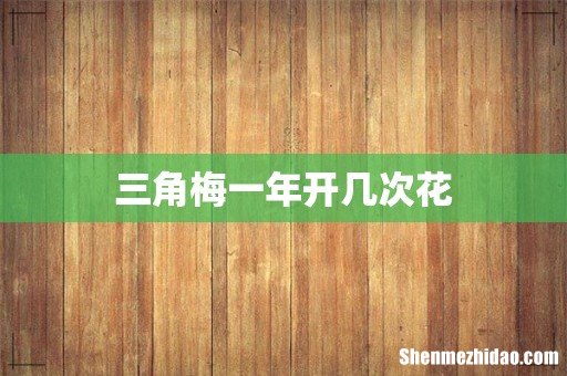 三角梅一年开几次花