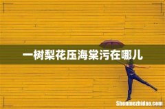 一树梨花压海棠污在哪儿
