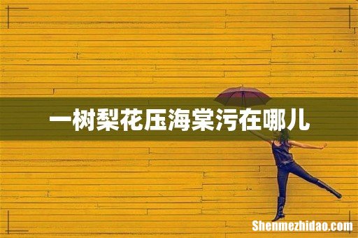 一树梨花压海棠污在哪儿