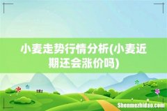 小麦近期还会涨价吗 小麦走势行情分析
