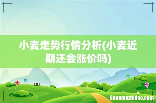小麦近期还会涨价吗 小麦走势行情分析