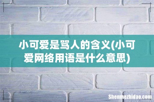 小可爱网络用语是什么意思 小可爱是骂人的含义