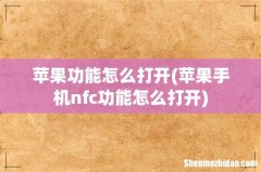 苹果手机nfc功能怎么打开 苹果功能怎么打开
