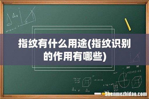 指纹识别的作用有哪些 指纹有什么用途