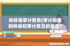 审计报告的种类和审计意见的类型？ 非标准审计报告