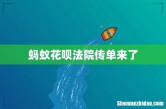 蚂蚁花呗法院传单来了