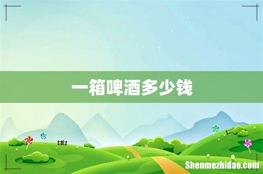 一箱啤酒多少钱