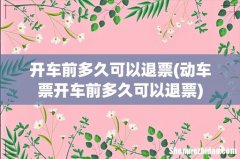 动车票开车前多久可以退票 开车前多久可以退票