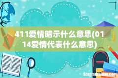 0114爱情代表什么意思 411爱情暗示什么意思
