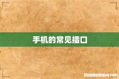 手机的常见插口