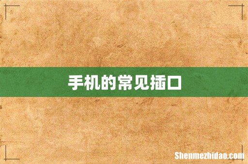手机的常见插口