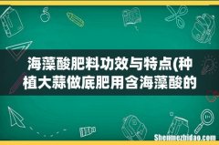 种植大蒜做底肥用含海藻酸的复合肥好吗？ 海藻酸肥料功效与特点