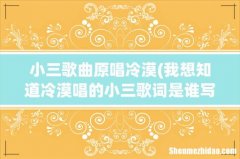 我想知道冷漠唱的小三歌词是谁写的 小三歌曲原唱冷漠