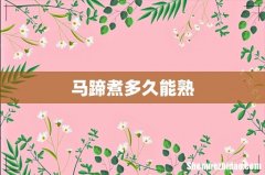 马蹄煮多久能熟