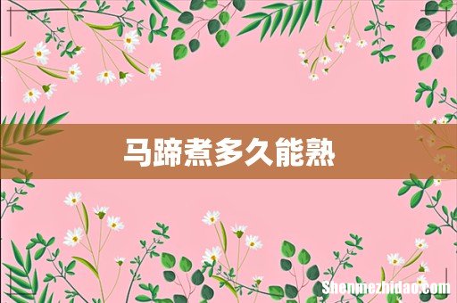 马蹄煮多久能熟