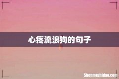 心疼流浪狗的句子
