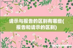 报告和请示的区别 请示与报告的区别有哪些