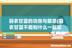 羽衣甘蓝不能和什么一起吃 哪些食物不能和羽衣甘蓝一起吃 羽衣甘蓝的功效与禁忌