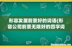 形容公司前景无限好的四字词语有哪些？ 形容发展前景好的词语