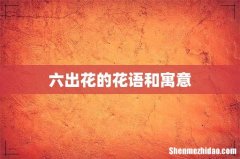 六出花的花语和寓意