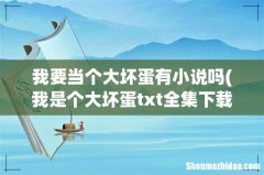 我是个大坏蛋txt全集下载 我要当个大坏蛋有小说吗
