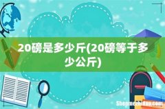 20磅等于多少公斤 20磅是多少斤