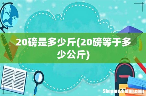 20磅等于多少公斤 20磅是多少斤