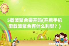 开启手机里载波聚合有什么利弊？ 5载波聚合要开吗