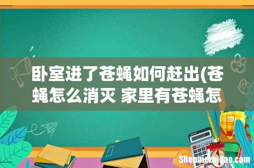 苍蝇怎么消灭 家里有苍蝇怎么消除 卧室进了苍蝇如何赶出