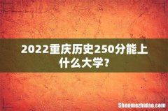 2022重庆历史250分能上什么大学？