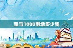 宝马1000落地多少钱