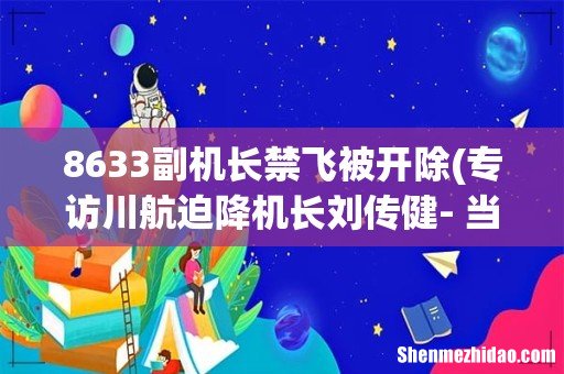 专访川航迫降机长刘传健- 当时副驾已经飞出去一半 8633副机长禁飞被开除