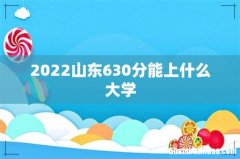 2022山东630分能上什么大学