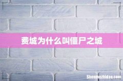 费城为什么叫僵尸之城
