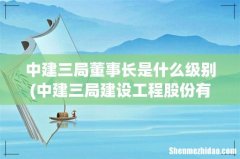 中建三局建设工程股份有限公司是什么级别单位 中建三局董事长是什么级别
