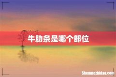 牛肋条是哪个部位