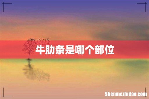 牛肋条是哪个部位