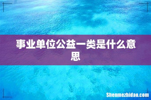 事业单位公益一类是什么意思
