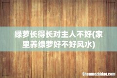 家里养绿萝好不好风水 绿萝长得长对主人不好