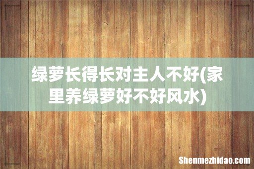 家里养绿萝好不好风水 绿萝长得长对主人不好
