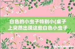 桌子上突然出现这些白色小虫子 很小很小。。全部小物件都有 好恶心 求回答这些是什么 怎么