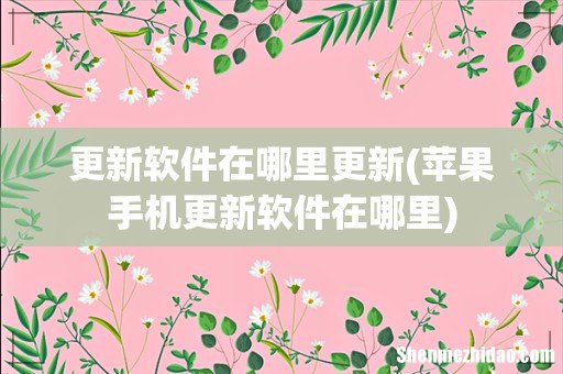 苹果手机更新软件在哪里 更新软件在哪里更新