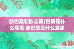 巴桑是什么意思 欧巴桑是什么意思 欧巴桑和欧吉桑