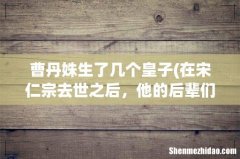 在宋仁宗去世之后，他的后辈们是怎样对待曹皇后的？ 曹丹姝生了几个皇子