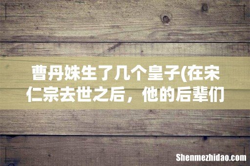 在宋仁宗去世之后,他的后辈们是怎样对待曹皇后的? 曹丹姝生了几个皇子